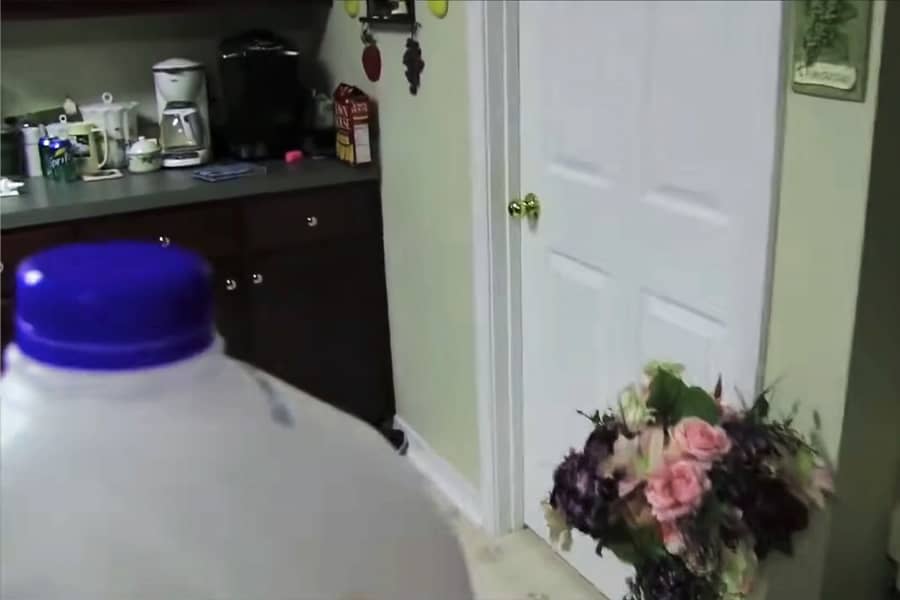 from the perspective of the milk jug approaching the pantry door