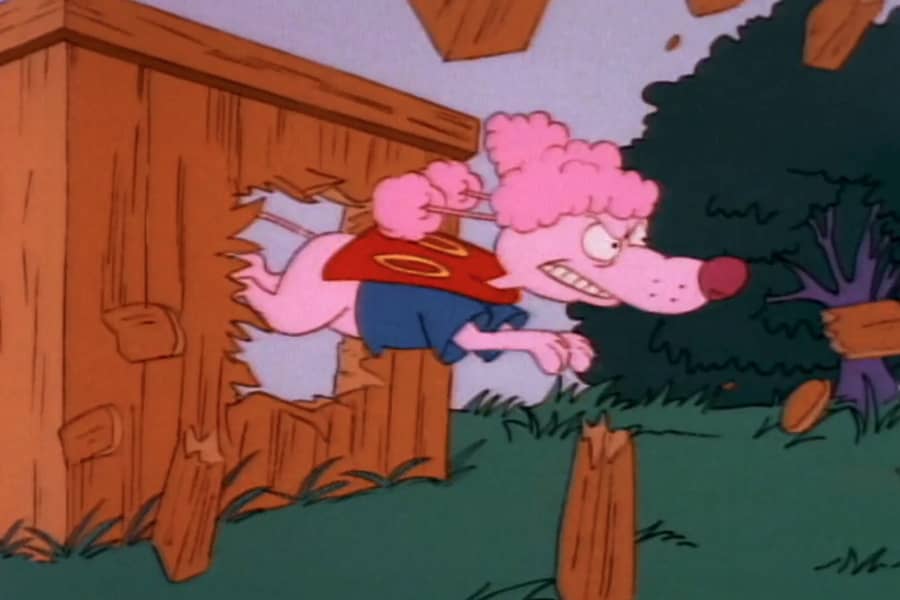 Oodles jumping through a wood fence