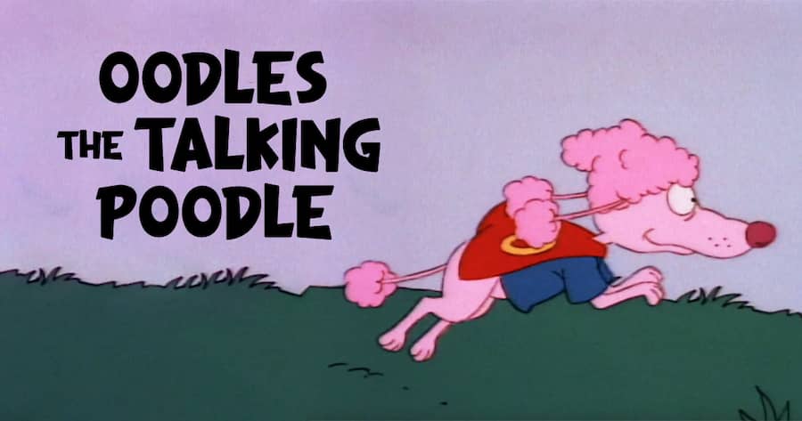 Oodles the Talking Poodle