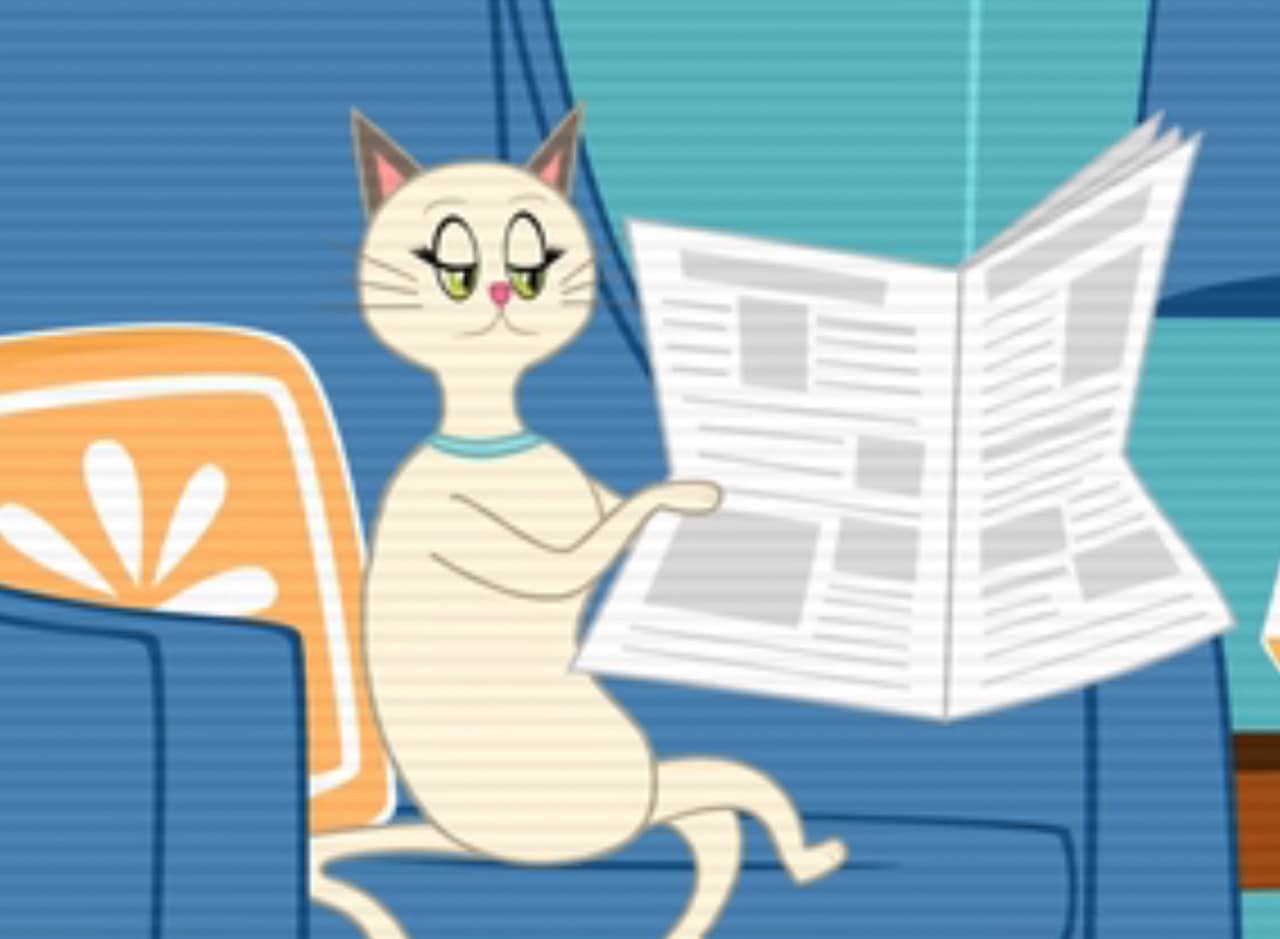 cat reading a newspaper