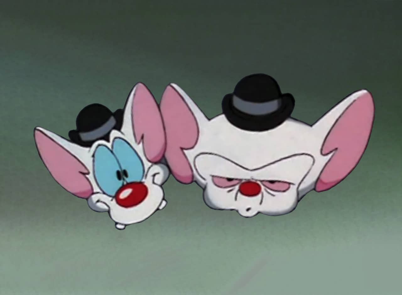 Pinky and the Brain
