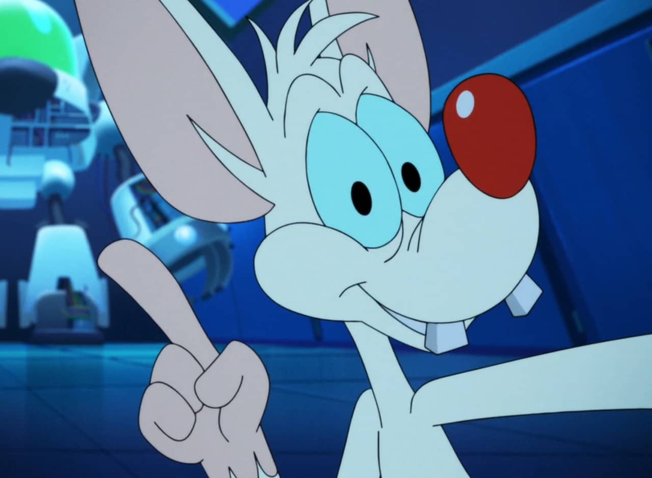 Pinky, a laboratory mouse