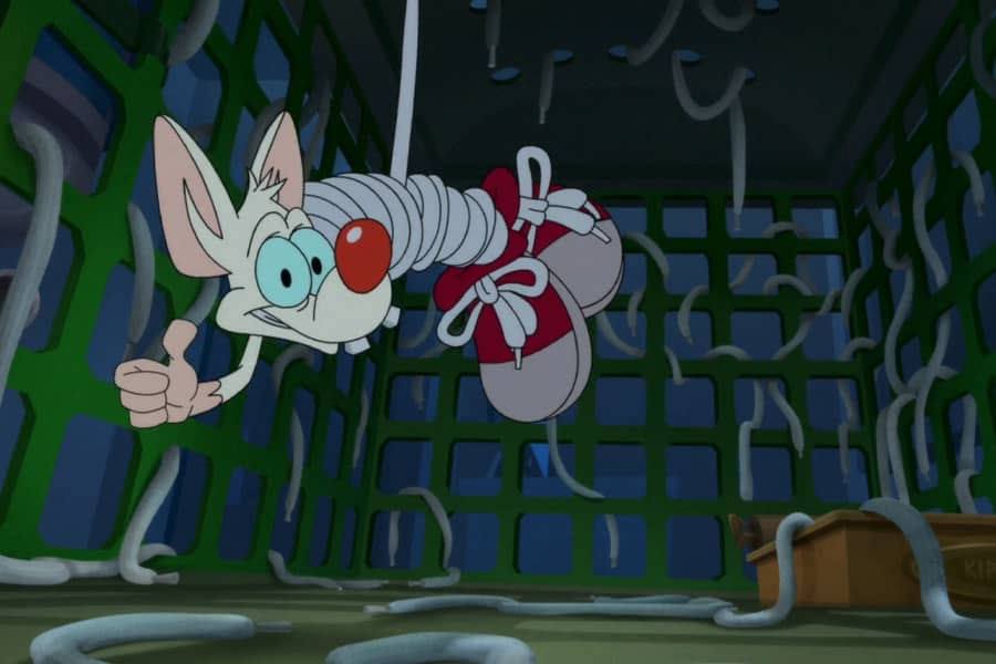 Pinky wrapped up in a shoelace dangling from the top of his cage and giving a thumbs up