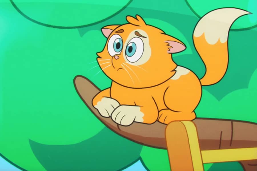 a concerned cat in a tree