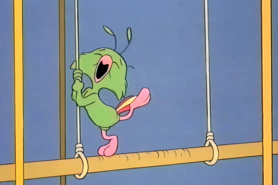 Pudgy the parrot singing in his cage