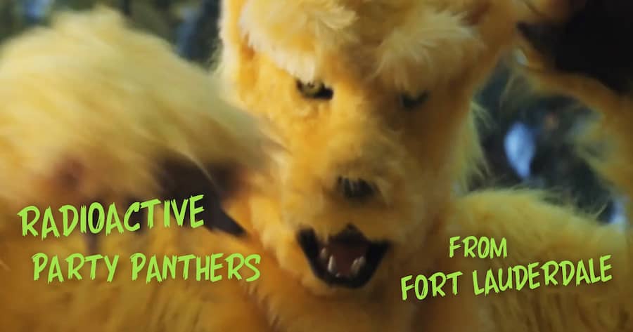 Radioactive Party Panthers from Fort Lauderdale