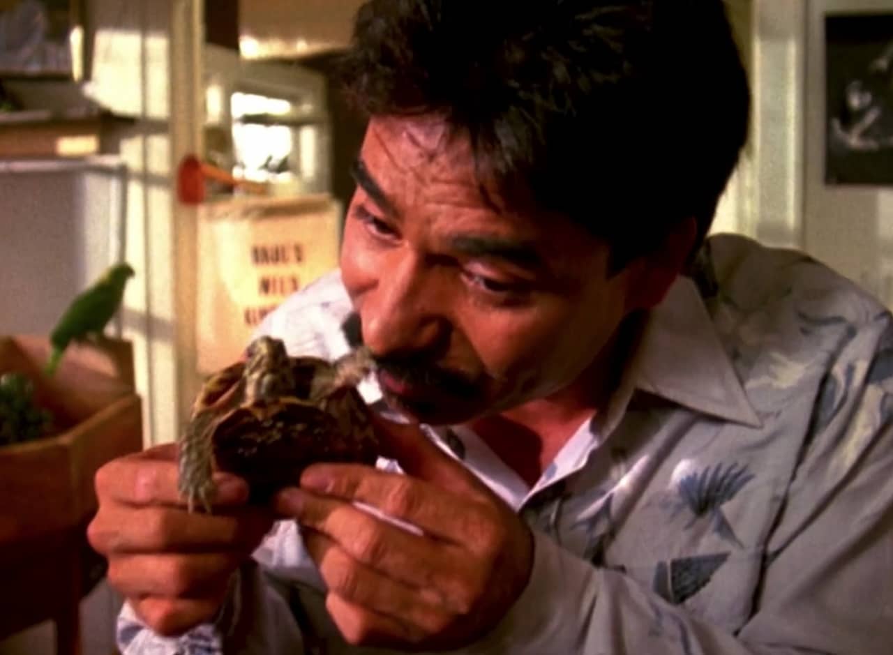 Raul Hernandez, a mustached man in a funky shirt, holds a little turtle close to the camera
