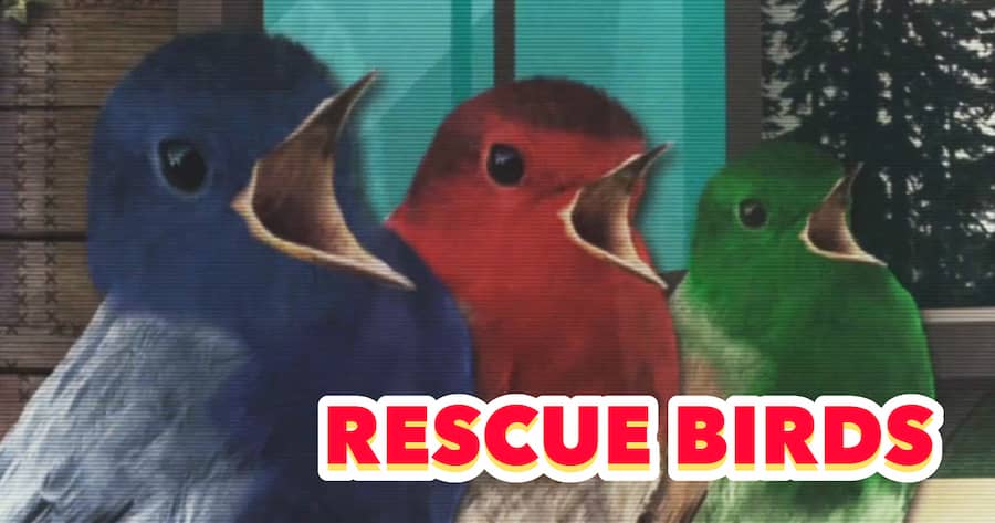 Rescue Birds