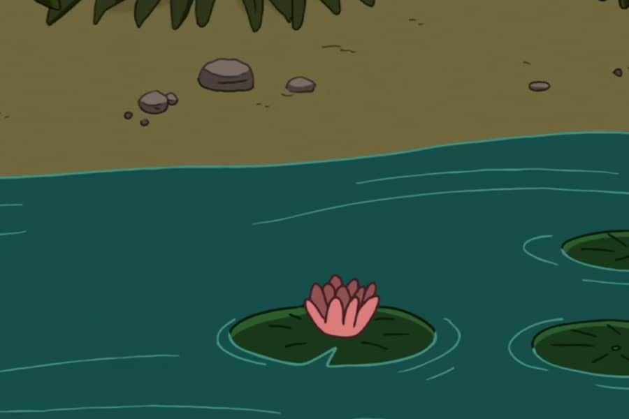 edge of a pond with lily pads