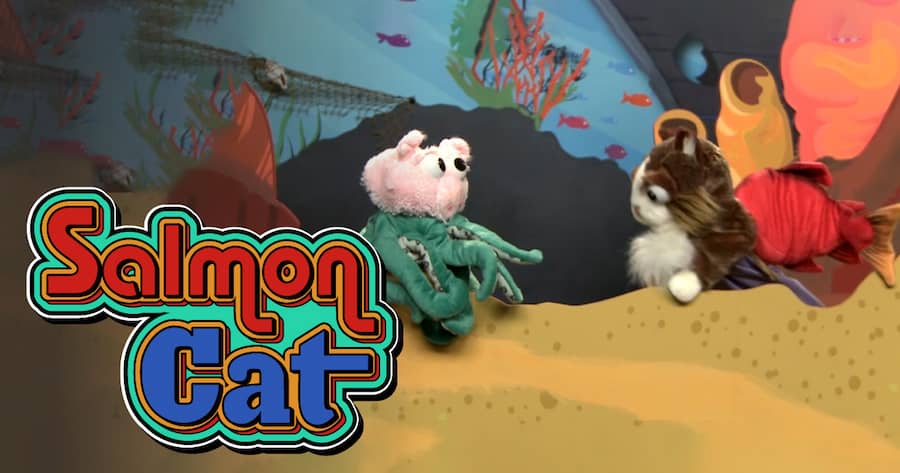 Salmon Cat