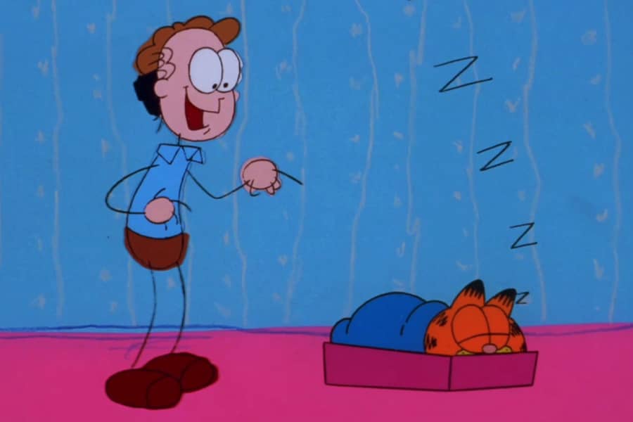 John the human standing by Sam the Cat’s bed