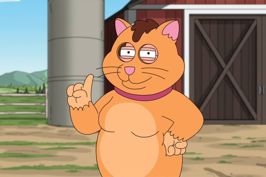 person dressed as a cat