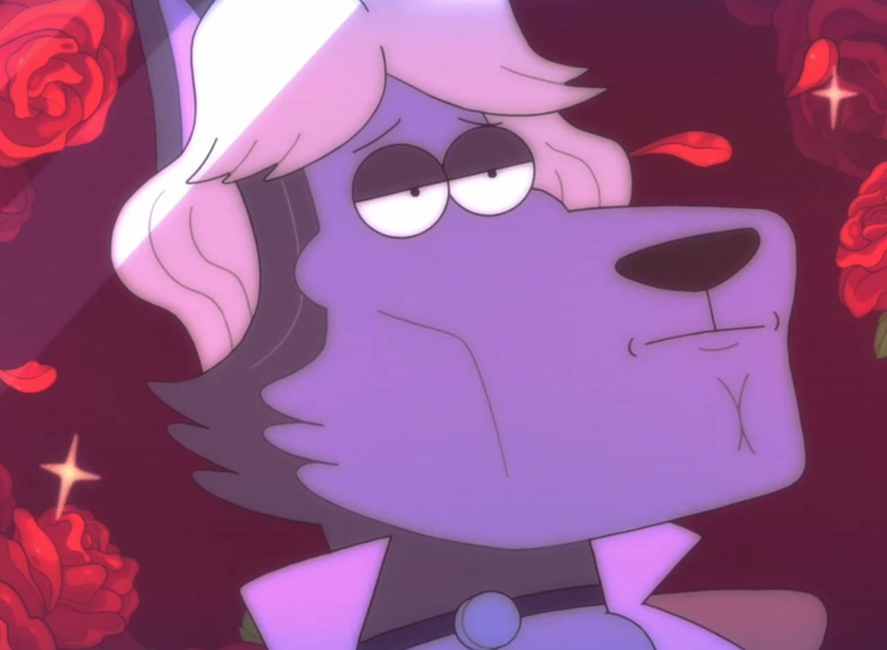 Chase, a handsome wolf