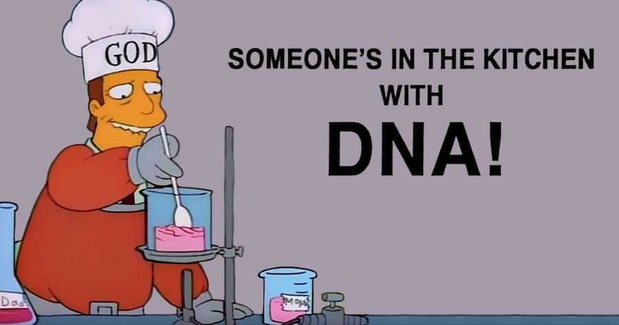 Someone’s In The Kitchen With DNA
