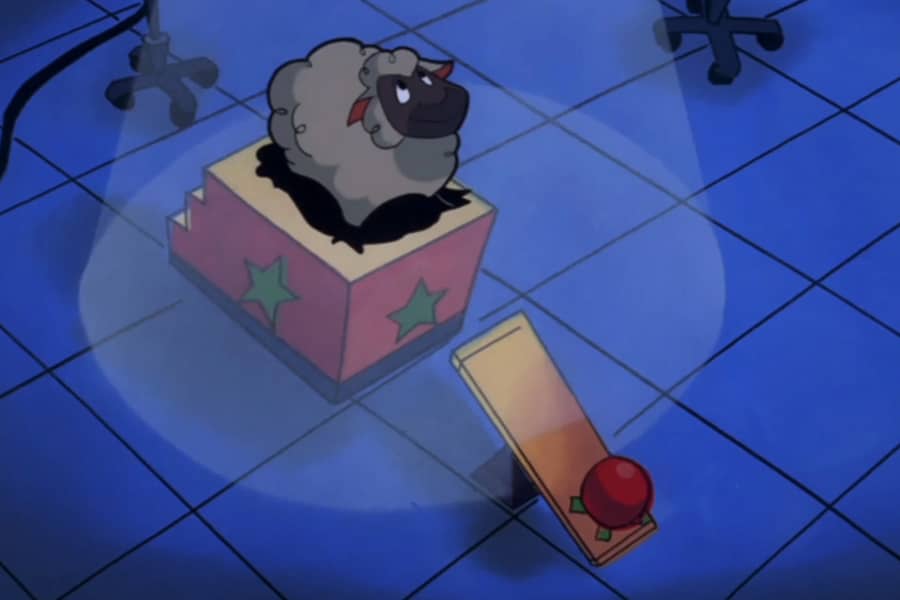 a sheep stands by a seesaw