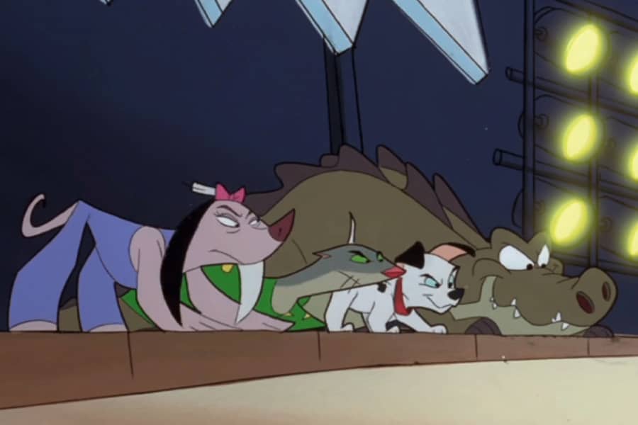 animals at the starting line