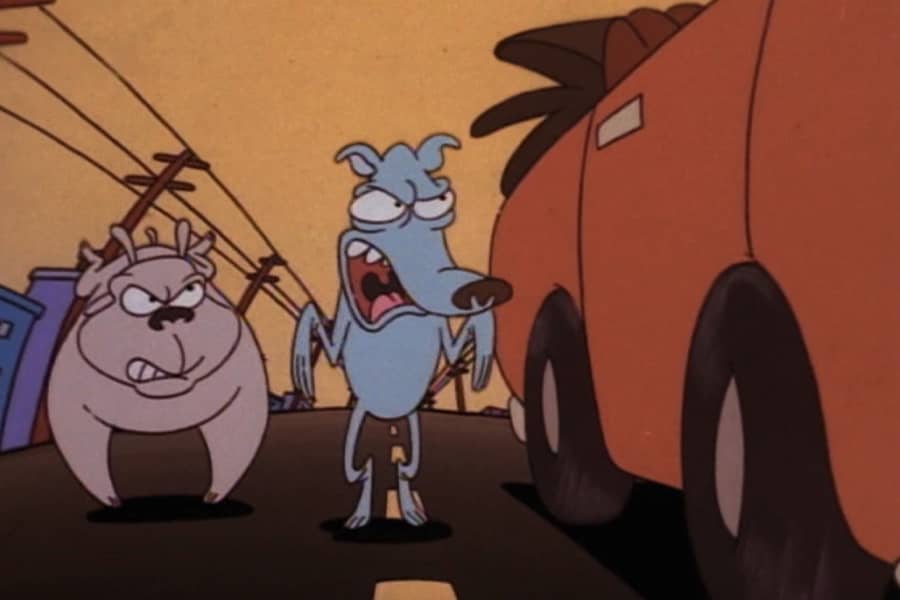two dogs chasing a car