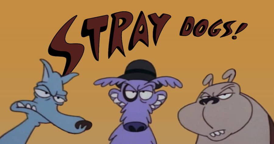 Stray Dogs!