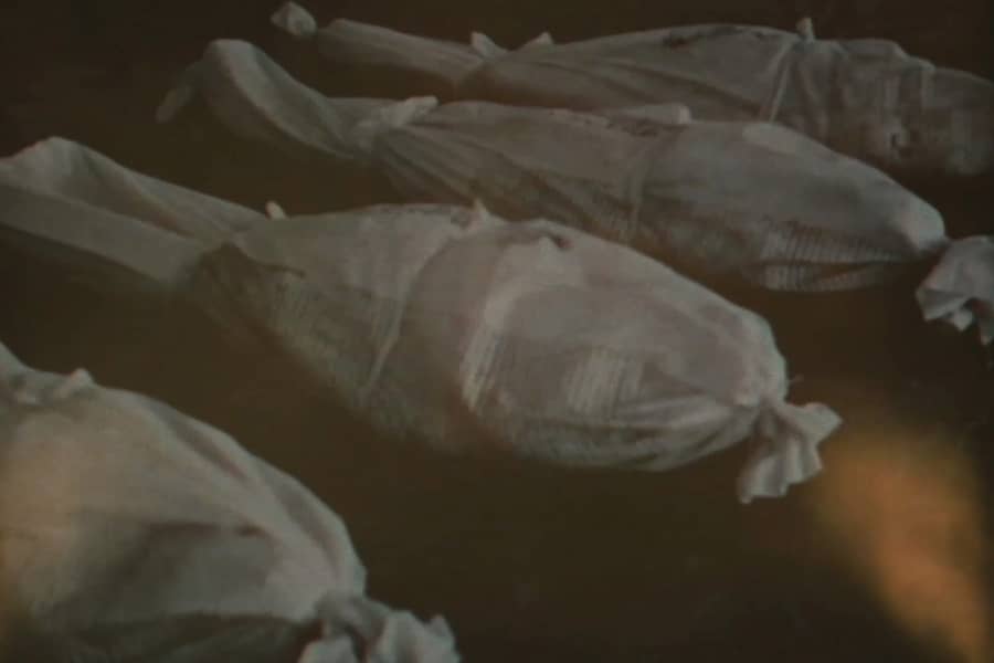 body bags