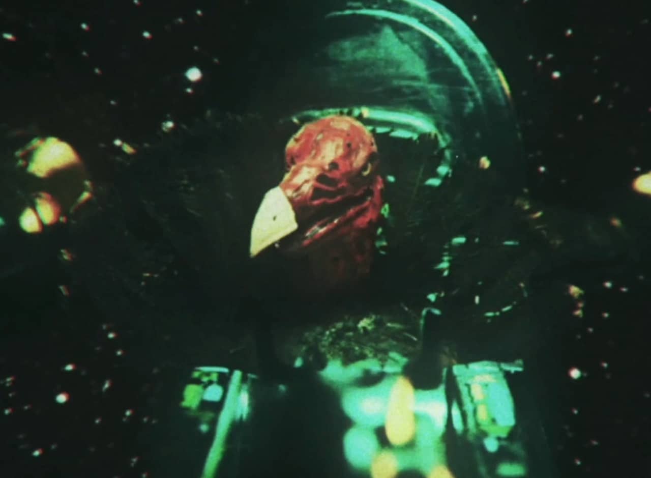 turkey in space