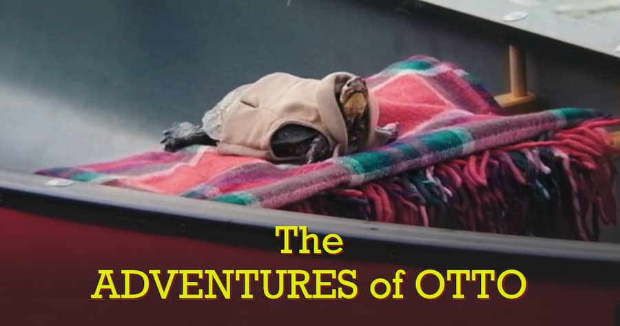 The Adventures of Otto