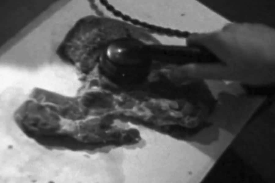 a hand holds a telephone receiver up to a flattened piece of organ meat