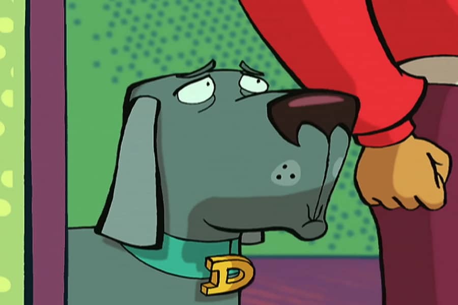 Domber looks concerned