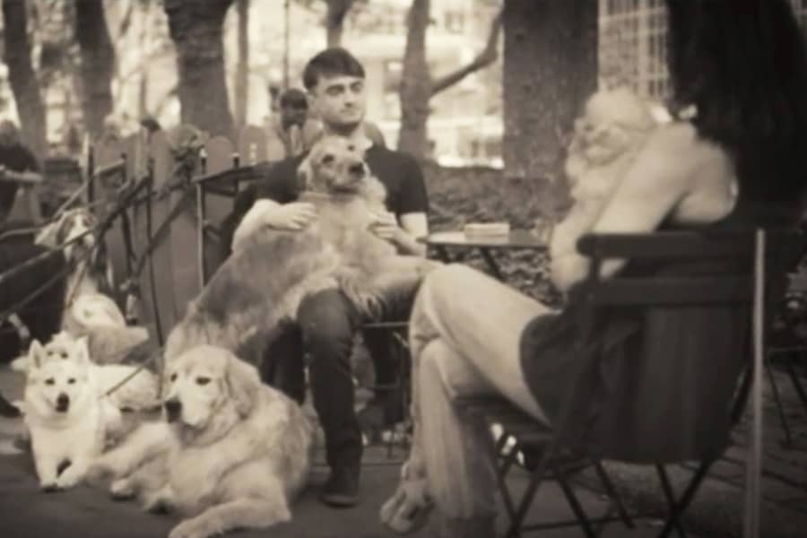 Radcliffe sitting at the table, a golden retriever draped over his lap