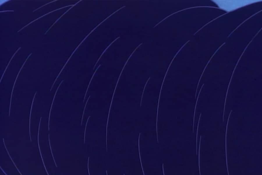 a whirlwind of hair