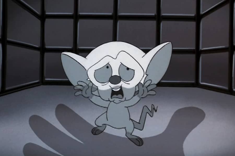 a hand reaching for Brain who looks scared