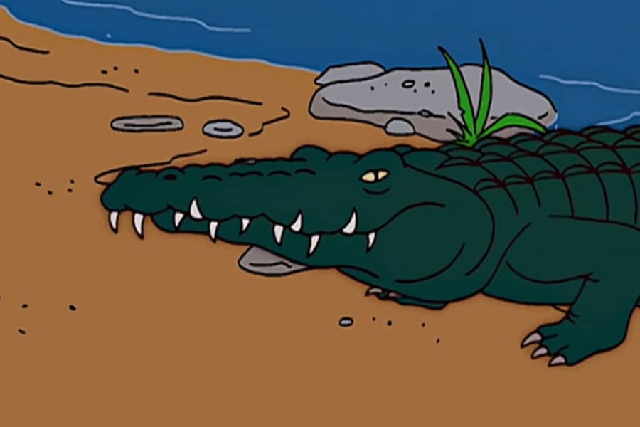 gator
