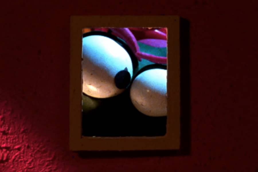 the bug peeking into the window from the outside