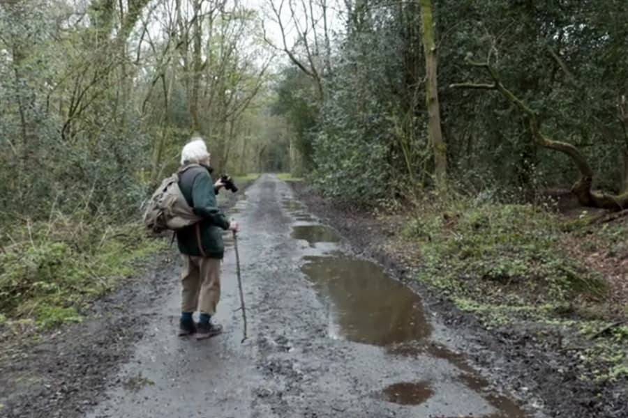 Horace walking through the woods