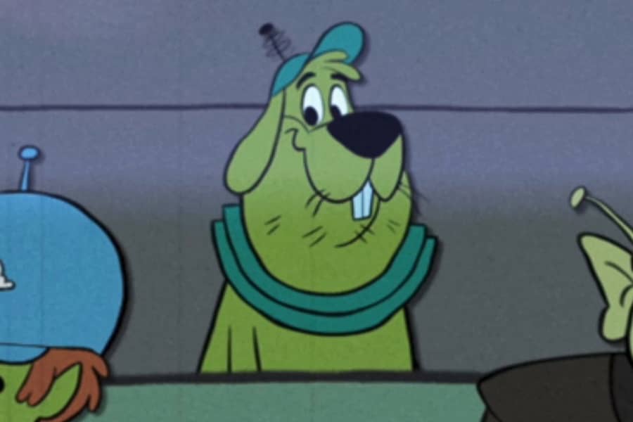 space dog