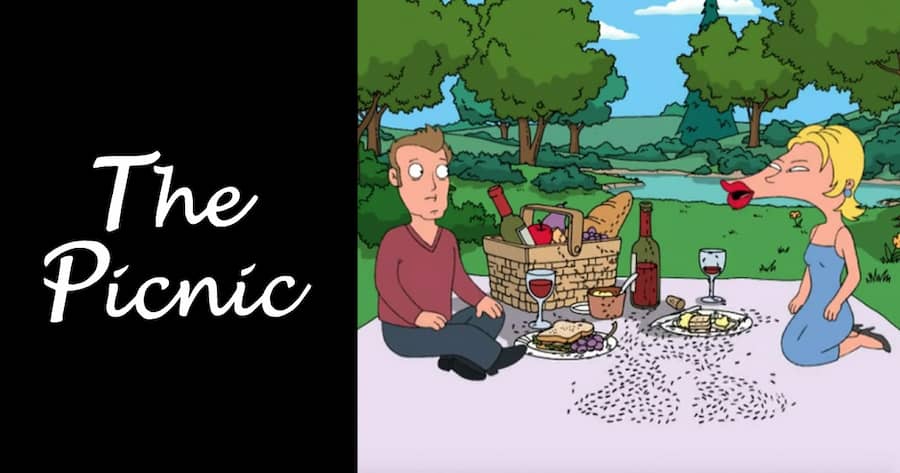 The Picnic