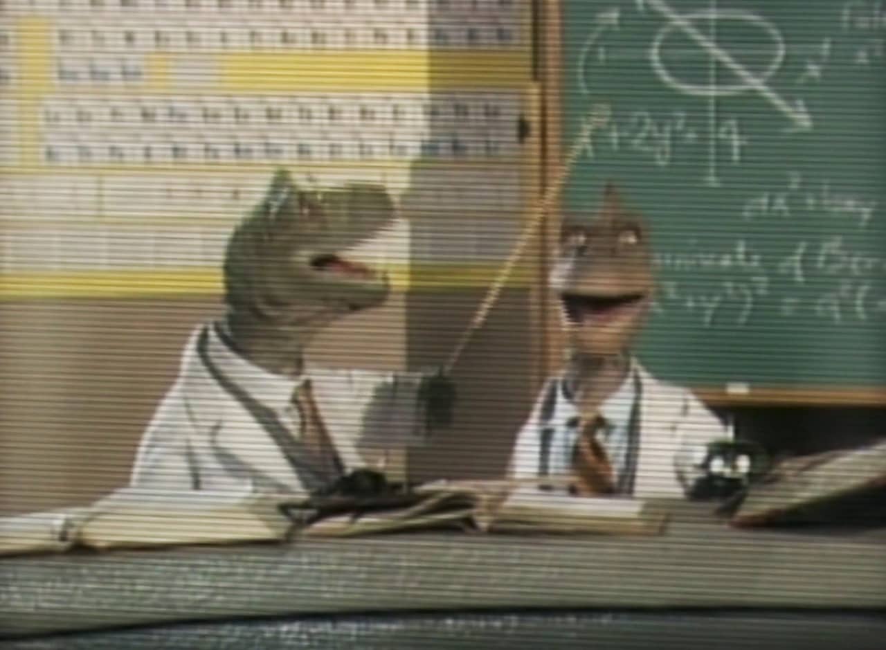 two dinosaur professors in front of a blackboard