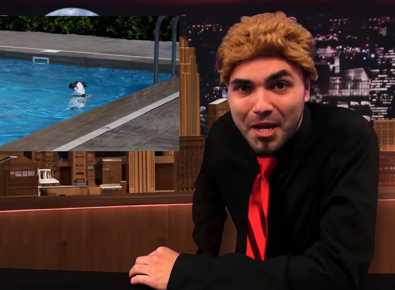 Pooby Fallon and a video of a dog swimming
