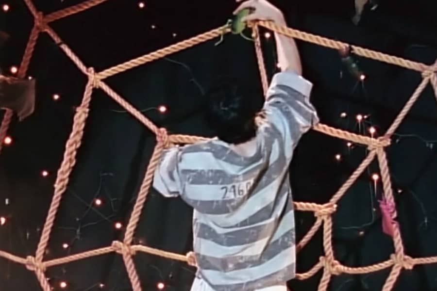 boy climing a big rope spider web retrieving fake bugs