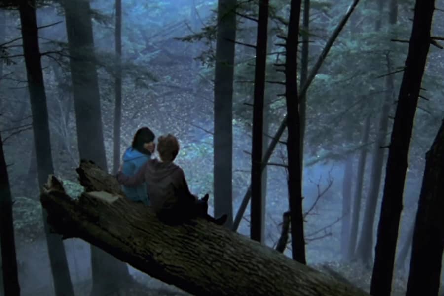 James and Rochelle sitting on a tree in the woods