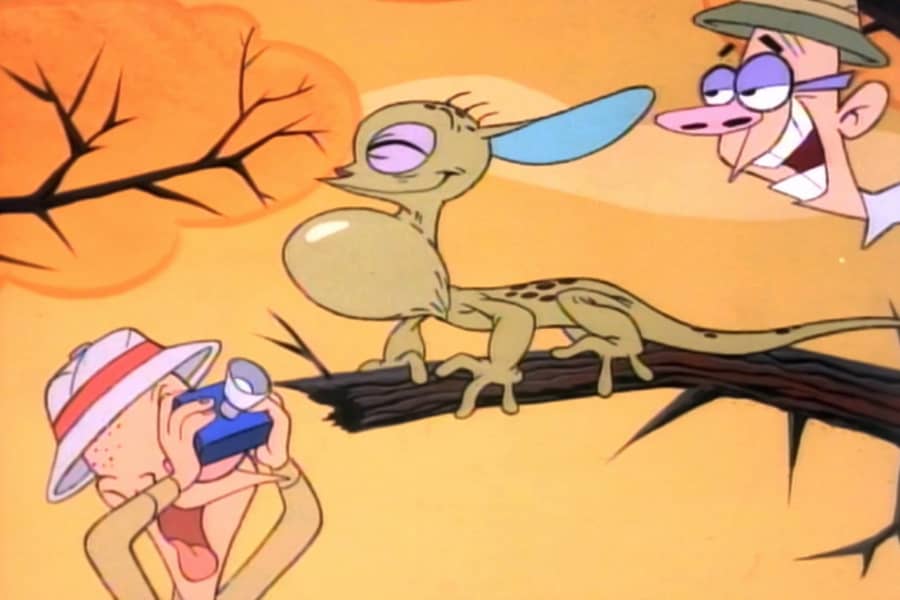 nature photographers looking at a lizard