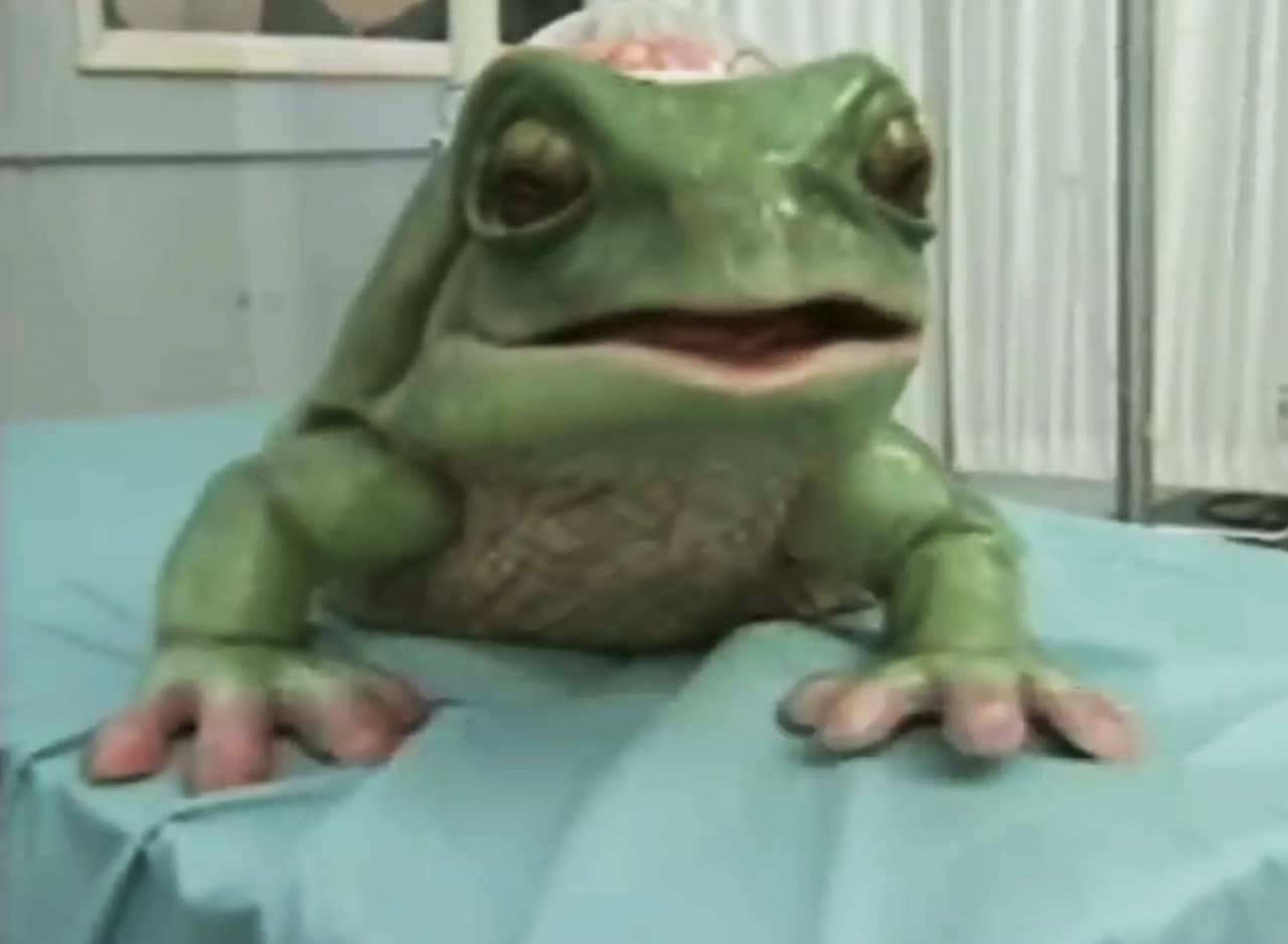 a giant frog with a clear dome on its head housing a human brain