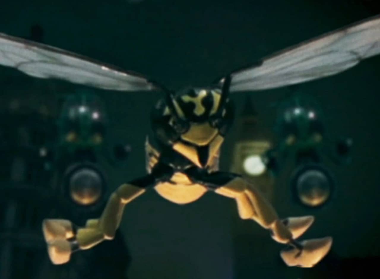 giant wasp