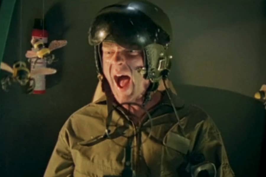 pilot screaming as wasps attack inside his cockpit