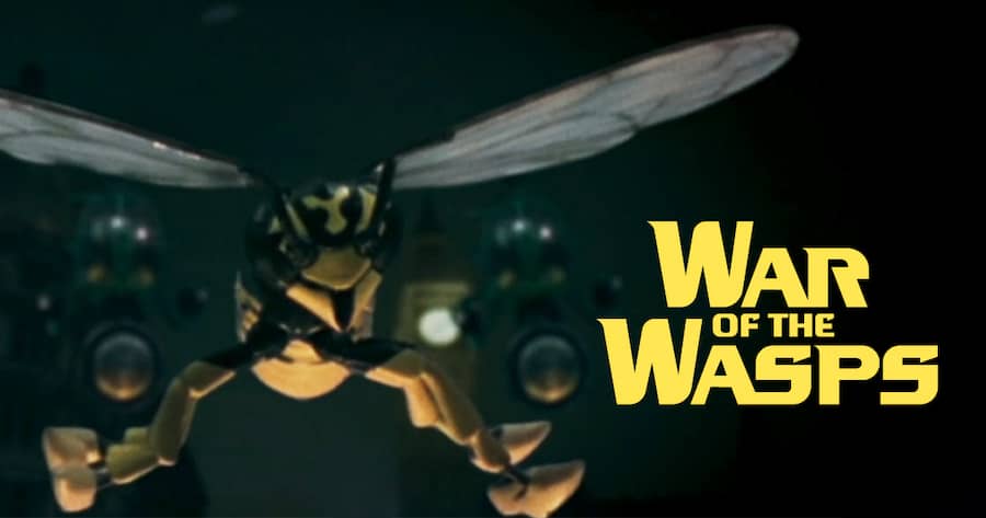War of the Wasps