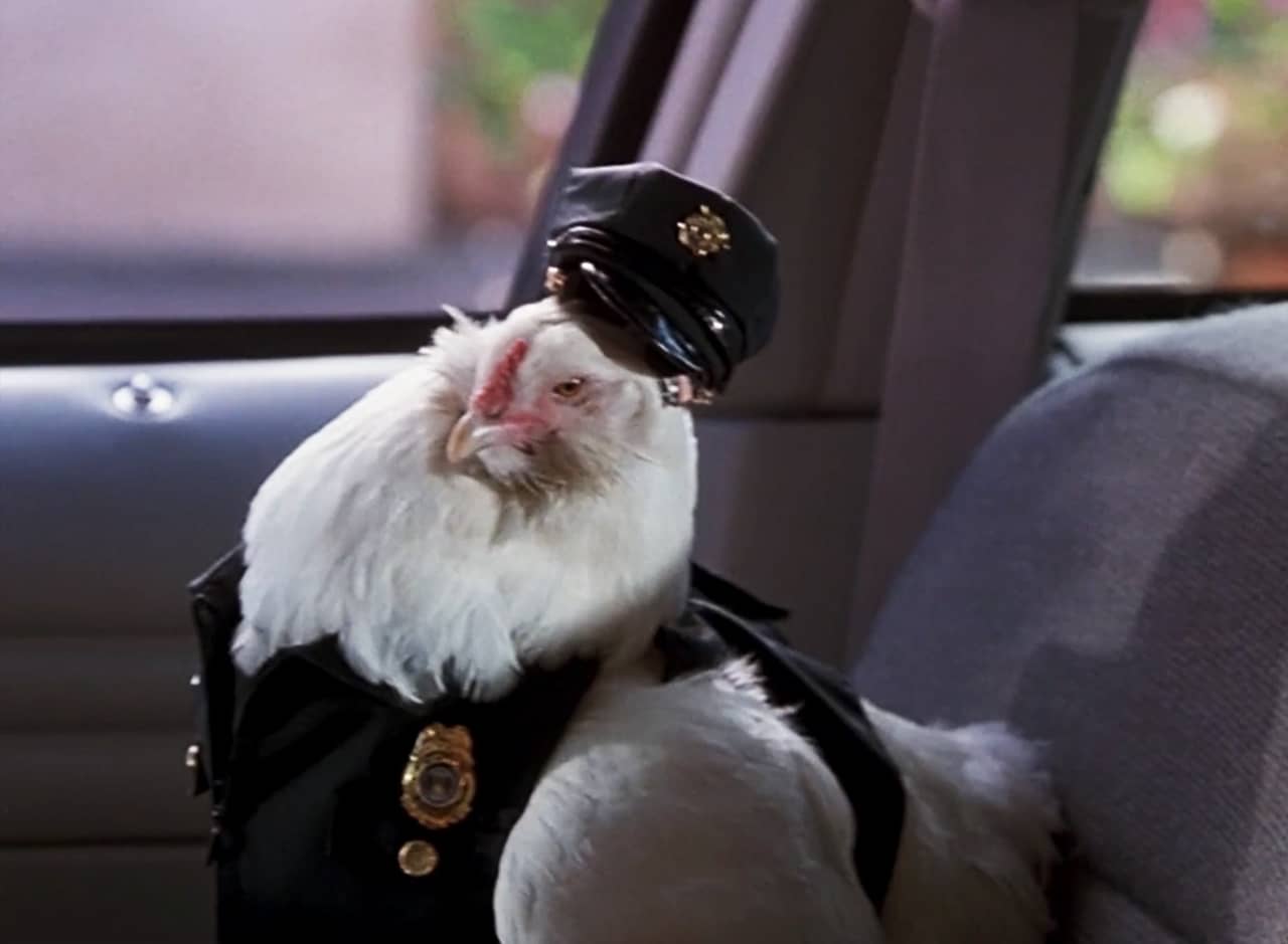 a chicken, Whitaker, in a cop’s uniform