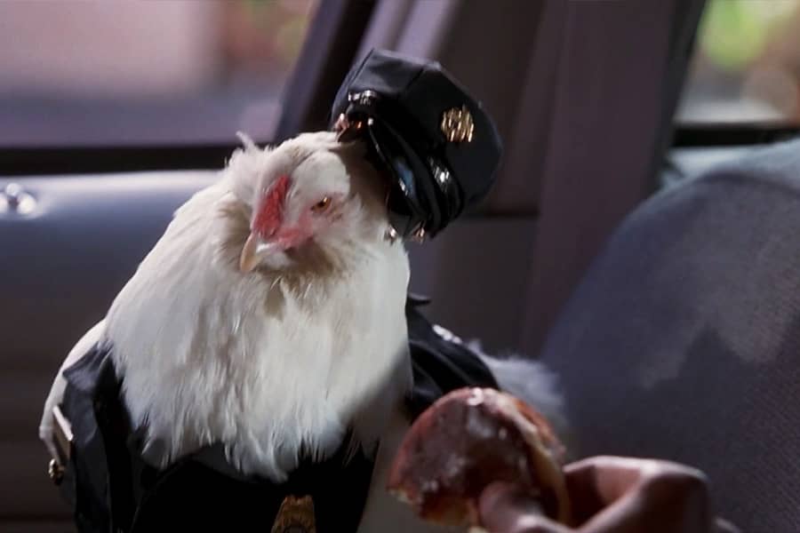 Fowl holding out a donut for Whitaker