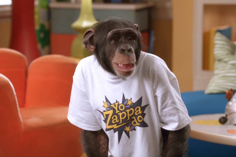 monkey wearing a Yo Zappa Do! shirt