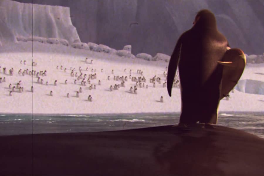 Big Z from behind, holding a surfboard and approaching a snowy beach spattered with penguins