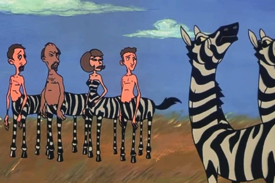 zebras turning up their noses at the zebra centaur family